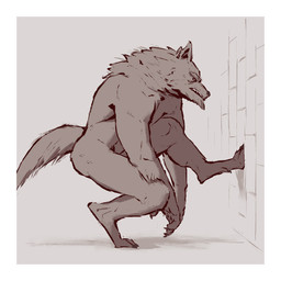 anthro biped claws crouching digitigrade eyebrows finger_claws frown fur male nude nude_anthro nude_male pose scowl side_view simple_background snout solo tail teeth thick_eyebrows toe_claws wall_(structure) white_background kingarthur_i canid mammal 2023 digital_drawing_(artwork) digital_media_(artwork) full-length_portrait hi_res monochrome portrait sepia