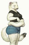 anthro belly belly_folds belly_overhang big_belly bottomwear clothing crop_top fat_rolls female fur holding_stomach hotpants lifting_belly looking_down love_handles overweight overweight_anthro overweight_female shirt shorts simple_background slightly_chubby slightly_chubby_female solo standing text thick_thighs tight_clothing topwear white_background white_body white_fur cettus maren_sommer mammal mustelid musteline stoat true_musteline weasel 2020 hi_res japanese_text