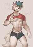 abs anthro black_boxer_briefs black_clothing black_underwear boxer_briefs clothed clothing clothing_lift colored_seam_underwear male muscular muscular_male pecs pose shirt shirt_lift solo topwear underwear white_seam_boxer_briefs white_seam_underwear yellow_eyes doggyaubrey canid mammal