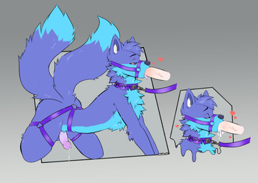 2_tails all_fours anthro blue_body blue_fur bodily_fluids collar cum cum_in_mouth cum_inside erection fur genital_fluids genitals good_boy half-closed_eyes harness heart_symbol hearts_around_head humanoid_genitalia humanoid_penis inner_ear_fluff leaking_cum leaking_precum leash leash_pull leashed_collar male male/male multi_tail narrowed_eyes oral oral_penetration penetration penis penis_in_mouth pink_penis precum purple_body purple_eyes purple_fur purple_inner_ear saliva solo_focus tail tan_penis text text_on_collar tuft wearing_collar white_inner_ear_fluff millie_k9 leosh canid canine fox mammal absurd_res hi_res