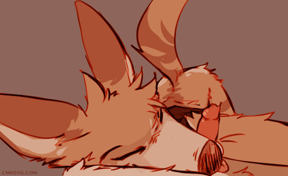 anthro ass_up biped black_nose blep bottomless bottomless_anthro bottomless_male brown_body brown_fur clothed clothing duo erection eyes_closed fur genitals humanoid_genitalia humanoid_penis male male/male male_anthro multicolored_body multicolored_fur penis tail tail_motion tailwag tan_body tan_fur tongue tongue_out lawyerdog cantio_(lawyerdog) canid canine canis coyote mammal 2025 2d_animation animated digital_media_(artwork) loop