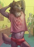 anthro athletic athletic_anthro athletic_male beverage biped briefs bulge clothed clothing detailed_bulge digitigrade duo eyebrows facial_hair fur genital_outline goatee green_briefs green_clothing green_eyes green_underwear grey_body grey_eyebrows grey_fur hands_behind_head holding_beverage holding_object inside kitchen looking_at_viewer male midriff navel penis_outline raised_arms red_briefs red_clothing red_underwear shirt smile smug smug_face solo_focus standing t-shirt tight_underwear topwear underwear underwear_only white_body white_fur yellow_eyes bask mythology canid canine canis mammal mythological_canine mythological_creature werecanid werecanine werecreature werewolf wolf digital_media_(artwork)