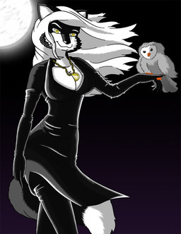 anthro armwear beak black_body black_fur breasts classy cleavage clothed clothing dipstick_tail dress duo elbow_gloves feathers female feral full_moon fully_clothed fur gloves grey_body grey_feathers hair handwear jewelry looking_at_viewer markings moon multicolored_tail necklace nude silverblack standing tail tail_markings white_body white_fur white_hair yellow_eyes mcmuffinmrfox gandalf_the_owl avian barn_owl bird canid canine fox mammal owl tyto tytonid undead vampire 2011