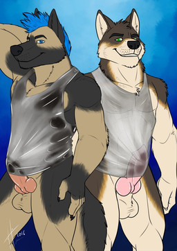 abs anthro balls black_body black_fur black_nose blue_hair bottomless closed_smile clothed clothing duo erection front_view fur genitals glistening glistening_eyes green_eyes grin hair hand_behind_head head_tuft knot looking_at_viewer male male_anthro mouth_closed muscular muscular_anthro muscular_male pecs penis pink_penis simple_background smile standing tan_balls tan_body tan_fur translucent translucent_clothing translucent_topwear tuft hufnaar canid canine canis domestic_dog german_shepherd herding_dog mammal pastoral_dog 2016 dated hi_res