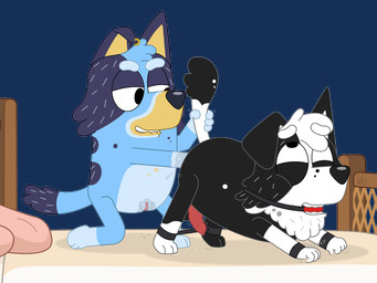 3_toes 4_fingers aged_up ahegao all_fours alternate_universe anal anal_fisting anal_penetration animal_genitalia animal_penis anthro aroused aroused_face ass_up ball_gag balls bdsm bed bed_frame bed_sheet bedding bedroom_sex bite biting_lip blue_body blue_fur bodily_fluids bondage bound butt canine_genitalia canine_penis cuff_(restraint) doggystyle dominant dominant_female downward_dog dripping dripping_vulva duo ear_piercing ear_ring eye_roll eyes_rolled_up feet female fingers fisting floppy_ears from_behind_position fur furniture gag genital_fluids genitals gloves_(marking) gold_ear_ring grabbing_sheets greying_hair head_tuft humanoid_genitalia humanoid_vulva kneeling leather leather_cuffs leg_markings looking_at_another looking_at_partner looking_pleasured lube lube_on_hand male male/female markings motion_lines multicolored_body multicolored_fur naughty_face on_bed on_model penetration penis piercing pillow plantigrade precum precum_drip presenting presenting_hindquarters raised_heel red_ball_gag restrained restraints ring_piercing sex simple_background smile socks_(marking) spots spotted_markings spreader_bar stretching submissive submissive_male tail tail_grab tiptoes toes transparent_background tuft vaginal_fluids vulva raznuviro bluey_(series) bluey_heeler mackenzie_(bluey) australian_cattle_dog border_collie canid canine canis cattledog collie domestic_dog herding_dog mammal pastoral_dog sheepdog 4:3 alpha_channel hi_res