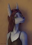 anthro clothed clothing female inner_ear_fluff looking_at_viewer shirt solo topwear tuft soovka beatrice_(soovka) canid canine canis jackal mammal absurd_res hi_res