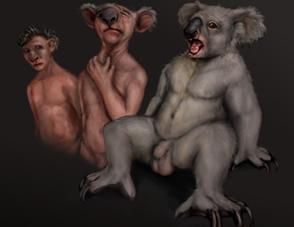 balls base_one_layout basic_sequence black_nose claws feral flaccid fur genitals grey_body grey_fur hairless linear_sequence male nude one_row_layout penis solo three_frame_image three_frame_sequence tongue transformation transformation_sequence splice_(artist) koala mammal marsupial vombatiform hi_res sequence