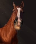 ambiguous_gender brown_body brown_eyes brown_mane feral grey_markings grin looking_at_viewer mane markings simple_background smile solo white_markings scarlanya equid equine horse mammal hi_res female_(lore)