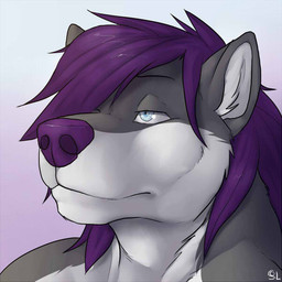 anthro blue_eyes front_view fur glistening glistening_eyes gradient_background grey_body grey_fur hair male male_anthro mouth_closed narrowed_eyes purple_hair purple_nose simple_background solo white_body white_fur solaxe_(artist) lesterhusky canid canine mammal 1:1 2016 bust_portrait portrait