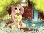 brick brick_wall curious feathered_wings feathers female feral fur hair hooves long_hair looking_at_viewer outside pink_hair sitting solo wall_(structure) water wings yellow_body yellow_feathers yellow_fur umeguru friendship_is_magic hasbro my_little_pony mythology fluttershy_(mlp) equid equine mammal mythological_creature mythological_equine pegasus 2016 4:3