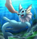 4_toes 5_toes ambiguous_gender black_nose blue_eyes detailed_background duo feet feral fin foot_focus open_mouth paws seaweed solo_focus swimming tail teeth toes tongue underwater water otakuap nintendo pokemon eeveelution generation_1_pokemon human mammal pokemon_(species) vaporeon 2019 hi_res