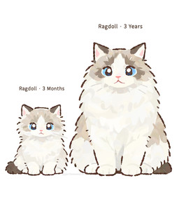 age_difference ambiguous_gender blue_eyes brown_markings duo feral front_view fur looking_at_viewer markings older_feral pink_nose quadruped simple_background sitting stated_age tail tan_body tan_fur text whiskers white_background young young_feral gentleeeeeeecat domestic_cat felid feline felis mammal ragdoll_cat colored digital_drawing_(artwork) digital_media_(artwork) english_text hi_res shaded