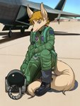 air_force aircraft airplane anthro armor clothing f-22 female hair headgear helmet outside pilot pilot_suit solo suit uniform vehicle kaboozey carol_danvers canid canine mammal 2020 hi_res