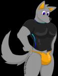 2019 alpha_channel anthro bulge canid canine canis clothed clothing conditional_dnp digital_media_(artwork) english_text fur hair latex male mammal muscular muscular_anthro muscular_male notkastar signature simple_background solo swimwear text thong transparent_background underwear wolf zatch_(notkastar)