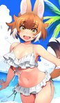 bikini breasts brown_hair clothed clothing female hair looking_at_viewer open_mouth seaside smile solo swimwear tail two-piece_swimsuit water white_clothing white_swimwear yellow_eyes happa kemono_friends dhole_(kemono_friends) animal_humanoid canid canid_humanoid canine canine_humanoid dhole_humanoid humanoid mammal mammal_humanoid hi_res