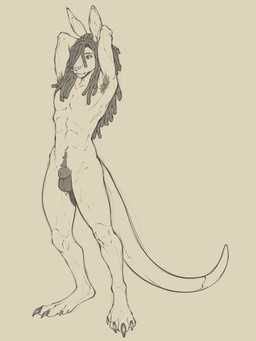 4_toes animal_genitalia anthro armpit_hair balls black_eyelids body_hair claws clothing dreadlocks eyebrow_piercing facial_piercing feet full_body_view fur genitals hair hairy hairy_pits kangaroo_tail legwear lip_piercing long_hair long_tail male muscular muscular_anthro muscular_legs muscular_male nose_piercing nude nude_anthro nude_male organs paws piercing pubes septum_piercing sheath solo stomach tail tired_eyes toes morsitapou kangaroo macropod mammal marsupial absurd_res digital_media_(artwork) hi_res sketch