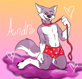 anthro biped bottomwear bulge claws clothed clothing collar fur heart_symbol kneeling leash leash_pull leashed_collar looking_at_viewer male open_mouth simple_background smile solo text underwear skittles_yeen andre_wolf canid canine canis mammal wolf digital_media_(artwork) hi_res