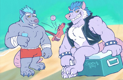 anthro beach blue_hair bottomwear clothing fur grey_body grey_fur group hair male outside pink_nose shorts sitting smile standing swimwear undressing spectral-bat brok_the_investigator cowcat_games dart_(brok_the_investigator) kins_(brok_the_investigator) squealers_chief mammal murid murine rat rodent 2026 hi_res