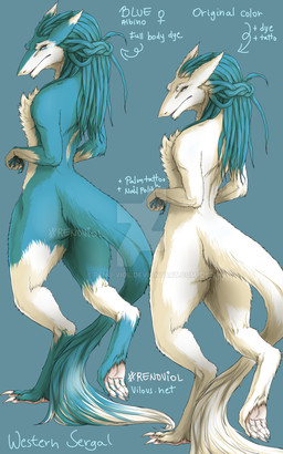 anthro blue_body blue_fur butt female flat_chested fur looking_at_viewer looking_back looking_back_at_viewer nude solo tail text white_body white_fur reno-viol sergal 5:8 absurd_res digital_media_(artwork) english_text hi_res model_sheet watermark
