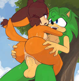 anthro balls butt duo female genitals male male/female penis vaginal vulva marsminer sega sonic_the_hedgehog_(series) sonic_the_hedgehog sticks_(sonic_the_hedgehog) eulipotyphlan hedgehog mammal original_character hi_res