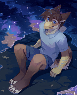 anthro beak blue_bottomwear blue_clothing blue_eyes blue_shirt blue_shorts blue_t-shirt blue_topwear bottomwear brown_body brown_fur brown_hair clothed clothing ears_back fur glistening glistening_eyes hair looking_up male outside pivoted_ears reflection shirt shorts sitting solo star t-shirt tan_body tan_fur three-quarter_view topwear unsigned water yellow_beak corzh77 clares_(character) avian absurd_res full-length_portrait hi_res portrait