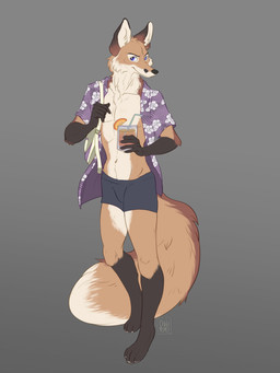 anthro backpack beverage black_clothing black_underwear blue_eyes boxer_briefs brown_ears clothed clothing container countershading cup fur glass glass_container glass_cup grey_background holding_beverage holding_object male open_clothing open_shirt open_topwear shirt simple_background smile smirk solo standing tan_body tan_fur topwear underwear cinnamomo camaris canid canine fox mammal 2022 3:4 absurd_res hi_res