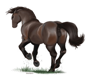 anatomically_correct anatomically_correct_anus anatomically_correct_genitalia anatomically_correct_vulva animal_genitalia animal_vulva anus black_anus black_body black_fur black_vulva brown_body brown_fur butt equine_anus equine_genitalia equine_vulva female female_feral feral fur genitals hooves multicolored_body multicolored_fur puffy_anus quadruped simple_background solo two_tone_body two_tone_fur underhoof vulva white_background digitoxici equid equine horse mammal 2026 digital_media_(artwork) hi_res