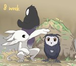 beak feathers hay measuring rock simple_background white_body wings young ptkd microsoft ori_(series) xbox_game_studios ku_(ori) naru_(ori_and_the_blind_forest) ori_(ori) avian bird guardian_spirit mammal owl digital_media_(artwork)