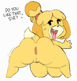 anus arm_support bent_over big_breasts big_butt blush blush_stickers breasts butt female forward_arm_support genitals hanging_breasts huge_breasts looking_at_viewer looking_back presenting presenting_hindquarters rear_view shaking_butt simple_background smile solo spread_legs spreading tail teeth text tongue twerking under_boob vulva white_background andyxtal animal_crossing nintendo isabelle_(animal_crossing) canid canine canis domestic_dog mammal 2d_animation animated english_text frame_by_frame hi_res