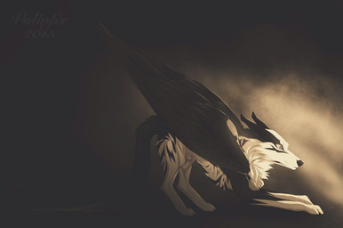 black_body black_feathers black_fur feathered_wings feathers feral fur male solo white_body white_fur wings volinfer canid canine canis mammal wolf 2015 digital_media_(artwork) hi_res