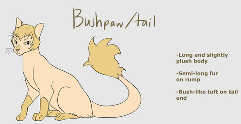 ambiguous_gender feral feralized fur pale_fur simple_background solo tail tail_tuft text tuft white_background yellow_body yellow_fur segamastergirl my_hero_academia warriors_(book_series) ojiro_mashirao domestic_cat felid feline felis mammal 2019 crossover english_text model_sheet