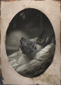 ambiguous_gender anthro bed clothing death deathbed eyewear furniture glasses open_mouth peaceful_death photo photorealism pillow realistic sharp_teeth shirt simple_background solo teeth topwear nomax nomax_(character) african_wild_dog canid canine mammal 2020 detailed hi_res male_(lore)