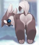 anthro blue_eyes butt featureless_crotch fur looking_back multicolored_body multicolored_fur naturally_censored nude presenting presenting_hindquarters raised_tail simple_background solo tail white_body white_fur zapa canid canine mammal 2016 absurd_res hi_res signature