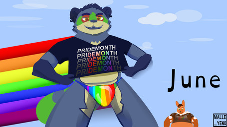 anthro blue_body blue_hair calendar calendar_pinup clothing crop_top dipped_ears ear_piercing ear_tuft facial_markings gloves_(marking) hair head_markings leg_markings lgbt_pride male markings mask_(marking) orange_eyes piercing pride_color_accessory pride_colors rainbow shirt socks_(marking) speedo striped_markings striped_tail stripes swimwear tail tail_markings topwear tuft malle_yeno lgbt_pride_month pri(demon)th villam_(randsom) canid canine canis mammal procyonid raccoon raccoon_dog wolf 16:9 hi_res widescreen