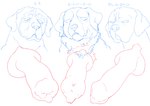 animal_genitalia animal_penis canine_genitalia canine_penis feral genitals group male penis text trio kouhaku773 canid canine canis domestic_dog great_dane mammal mastiff molosser mountain_dog saint_bernard tosa_inu absurd_res hi_res japanese_text sketch translation_request