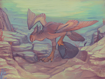 4_toes ambiguous_gender feet feral solo toes underwater water wings zygodactyl zygodactyl_hands aniriteron wyrwel spade_(aniriteron) arvinian avian overyillik(arvinian) absurd_res hi_res female_(lore)