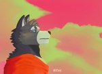 aloof anthro black_nose blue_eyes cape clothing cloud evening male melancholic sad sky skyscape solo star zuy_(artist) adastra adastra_(series) echo_project amicus_(adastra) canid canine canis mammal wolf hi_res