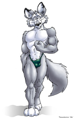3_toes anthro balls_outline biceps biped black_nose bulge claws closed_smile clothed clothed_anthro clothed_male clothing countershade_face countershade_feet countershade_fur countershade_neck countershade_torso countershading detailed_bulge dipstick_ears ear_markings ear_piercing ear_ring ear_stud eyebrows fangs featureless_chest feet finger_claws fingers front_view fur genital_outline green_clothing green_thong green_underwear grey_body grey_fur humanoid_hands looking_at_viewer male male_anthro monotone_background monotone_tail mouth_closed multicolored_body multicolored_ears multicolored_fur muscular muscular_anthro muscular_male narrowed_eyes navel pecs penis_outline piercing plantigrade ring_piercing simple_background smile smiling_at_viewer solo tail teeth text thong thong_only toe_claws toes topless topless_anthro topless_male two_tone_body two_tone_fur underwear underwear_only walking white_background white_body white_claws white_countershading white_eyebrows white_finger_claws white_fur white_inner_ear white_toe_claws teaselbone teaselbone_(character) canid canine canis mammal wolf 2006 artist_name digital_drawing_(artwork) digital_media_(artwork) full-length_portrait portrait shaded