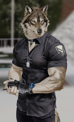 anthro big_arms black_body black_fur black_nose brown_body brown_fur clock clothed clothing collar collared_shirt dog_tags fingerless_gloves fur gloves handwear kemono male muscular muscular_anthro muscular_male pecs pointy_ears scar shirt solo tight_clothing tight_shirt tight_topwear topwear watch white_body white_fur wristwatch yifeng_lz canid canine canis mammal wolf hi_res