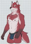 2024 abs anthro bedroom_eyes biped black_nose blue_clothing blue_jockstrap blue_underwear body_hair bulge canid canine canis checkered checkered_background chest_tuft clothed clothing diederich_olsen digital_drawing_(artwork) digital_media_(artwork) eyebrows fur happy_trail hi_res jockstrap jockstrap_only knights_college male male_anthro mammal multicolored_body multicolored_clothing multicolored_underwear muscular muscular_anthro muscular_male narrowed_eyes navel nipples orange_eyes partially_clothed partially_clothed_male pattern_background pecs portrait red_body red_fur red_nipples seductive simple_background solo standing three-quarter_portrait toothy_grin topless tuft underwear underwear_only unsafescapewolf whiskers white_background white_body white_eyebrows white_fur white_inner_ear white_sclera wolf