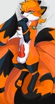 animal_genitalia animal_penis balls bodily_fluids canine_genitalia canine_penis dakimakura erection feral fur genital_fluids genitals green_eyes knot male orange_body orange_fur penis precum smile solo white_body white_fur bloowolfy nintendo pokemon canid canine fox generation_1_pokemon mammal ninetales pokemon_(species) 2023 hi_res