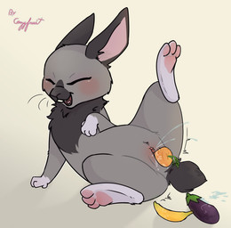 anatomically_inaccurate anatomically_inaccurate_pawpads bodily_fluids clitoral_hood clitorus ejaculation female feral food fruit fur genital_fluids genitals grey_body humanoid_genitalia humanoid_genitalia_on_feral humanoid_vulva humanoid_vulva_on_feral looking_pleasured paws penetration plant simple_background solo vaginal vaginal_fluids vaginal_penetration vaginal_squirting vulva cozyfruit mya_(cozyfruit) lagomorph leporid mammal rabbit hi_res