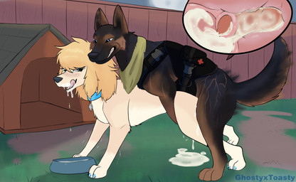 animal_genitalia animal_penis backyard blonde_hair bodily_fluids bowl canine_genitalia canine_penis cervical_penetration cervix claws close-up collar container cum cum_in_uterus cum_inside cum_pool doggystyle doghouse duo ejaculation erection female female_penetrated fence feral feral_on_feral feral_penetrated feral_penetrating feral_penetrating_feral fluffy from_behind_position genital_fluids genitals grass grin hair harness humping internal intraspecies knot knotted_penis knotting licking licking_lips male male/female male_penetrating male_penetrating_female open_mouth penetration penile penile_penetration penis pet_bowl plant scarf sex smile teeth tongue tongue_out uterus vaginal vaginal_knotting vaginal_penetration ghostyxtoasty roslyne_(ghostyxtoasty) canid canine canis domestic_dog german_shepherd herding_dog mammal pastoral_dog poodle absurd_res hi_res