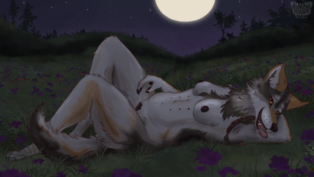 animal_genitalia animal_vulva anthro areola belly bent_legs bodily_fluids braided_hair breasts breath canine_genitalia canine_vulva female female_anthro field fingering fingering_self flower full_moon fur genital_fluids genitals glistening glistening_genitalia glistening_vulva grass grey_body grey_fur hair hip_dips in_heat looking_at_viewer lying masturbation meadow moon multi_nipple navel night nipples nude nude_anthro nude_female on_back outside panting plant solo tan_body tan_fur tawny_fur tongue tongue_out tree vaginal vaginal_fingering vaginal_fluid_string vaginal_fluids vulva whisker_spots yellow_eyes coyobites mythology canid canine canis mammal mythological_canine mythological_creature werecanid werecanine werecreature werewolf wolf 16:9 hi_res story story_at_source story_in_description widescreen