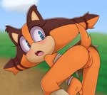 2018 anthro anus badger bent_over big_eyes blue_eyes blush bodily_fluids bottomless bottomwear bracelet brown_body brown_fur butt clothed clothing colored digital_media_(artwork) es74 eyelashes female fur genitals grass hi_res jewelry looking_back mammal mustelid musteline no_underwear open_mouth orange_body orange_fur outside plant presenting presenting_hindquarters pussy raised_tail rear_view sega shirt skirt sky solo sonic_boom sonic_the_hedgehog_(series) sticks_the_jungle_badger surprise sweat tail tail_under_skirt tenshigarden topwear