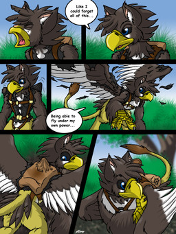 aircraft airplane anthro beak feathered_wings feathers male mount pilot solo tail transformation vehicle wings catmonkshiro mythology avian gryphon mythological_avian mythological_creature 3:4 comic