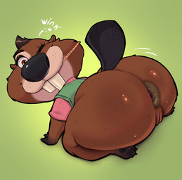 anthro anus big_butt big_teeth brown_body brown_eyes brown_fur butt clothing dark_anus female fur genitals happy looking_at_viewer looking_back nude one_eye_closed overweight overweight_female paws raised_tail short_stack smile solo tail vulva wink winking_at_viewer milkshoba disney zootopia nibbles_maplestick beaver mammal rodent absurd_res hi_res