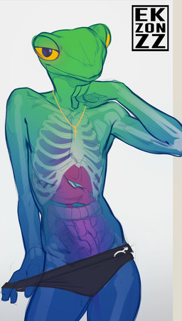 anthro bone clothing clothing_pull cross guts intestines lung male organs pose rib_cage seductive skinny slim small_waist solo stomach translucent translucent_body translucent_skin underwear underwear_pull visible_skeleton ekzonzz amphibian frog glass_frog absurd_res hi_res