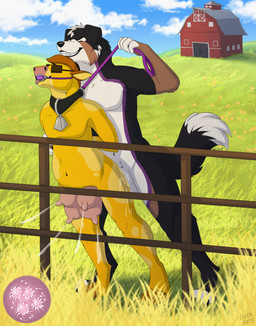 anal anal_impregnation anal_penetration anthro ball_gag balls bdsm bell bell_collar blindfold bodily_fluids bound collar cum cum_from_ass cum_in_ass cum_inside cumshot duo ejaculation erection eyes_closed fangs farm feet fingers from_behind_position fur gag gagged genital_fluids genitals hair hands_behind_back holding_leash holding_object impregnation lactating leash leash_pull male male/male male_impregnating_male male_impregnation male_penetrated male_penetrating male_penetrating_male milk navel nude orgasm orgasm_face outdoor_nudity outside outside_sex ovum penetration penile penile_penetration penis projectile_lactation sex smile sperm_cell tail teats teeth toes tongue tongue_out caraluca bernese_mountain_dog bovid bovine canid canine canis cattle domestic_dog mammal molosser mountain_dog swiss_mountain_dog digital_media_(artwork) hi_res