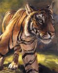 ambiguous_gender feral field outside solo stripes blotch felid mammal pantherine tiger acrylic_painting_(artwork) painting_(artwork) traditional_media_(artwork)